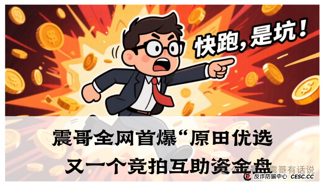 震哥全网首爆“原田优选”，又一个竞拍互助资金盘(1)