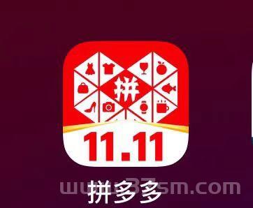 最新拼多多项目（0学费 只抽佣 2%）日 收益800+
