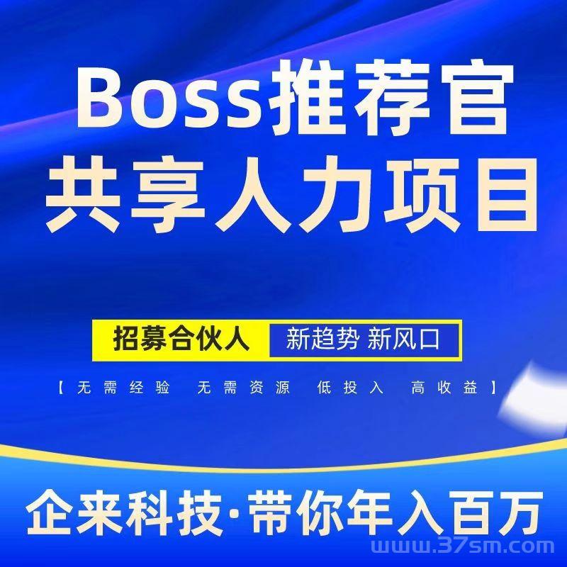 Boss推荐官，线上招聘，有手就行，简 单 无 风 险，佣金利润高，日结(1)