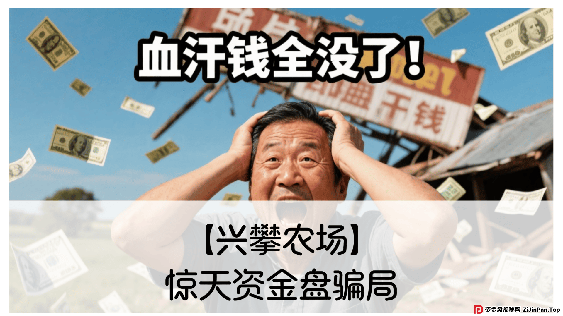 【兴攀农场】惊天骗局：震哥带你拆穿“数字助农”的画皮 (1)