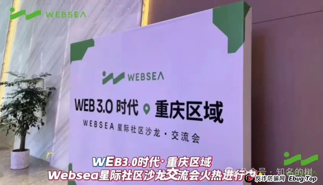 别再被蒙在鼓里！Websea资金盘真相全揭秘！(1)
