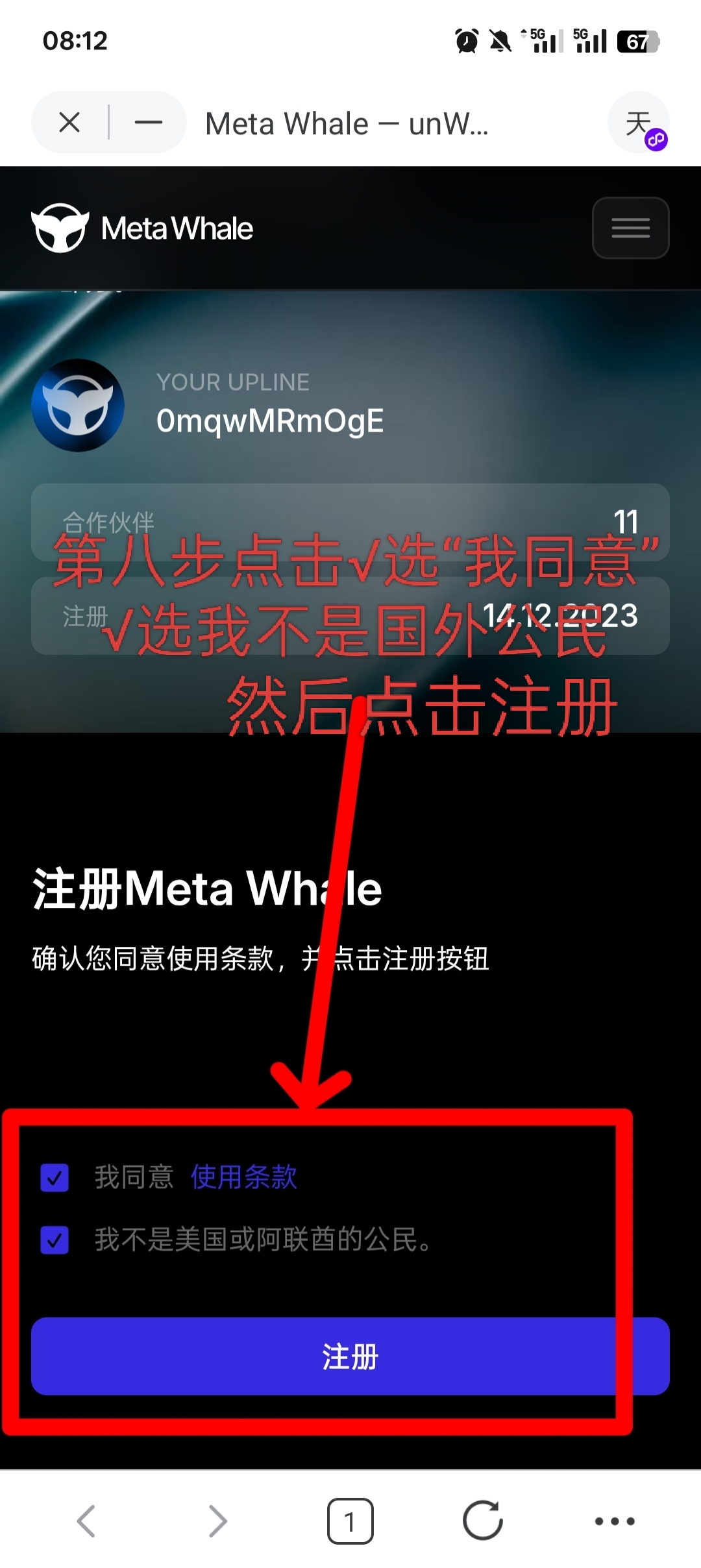 MetaWhale元鲸鱼注册TP钱包DAI质押全球一条线公排自动滑落矩阵收益(8)