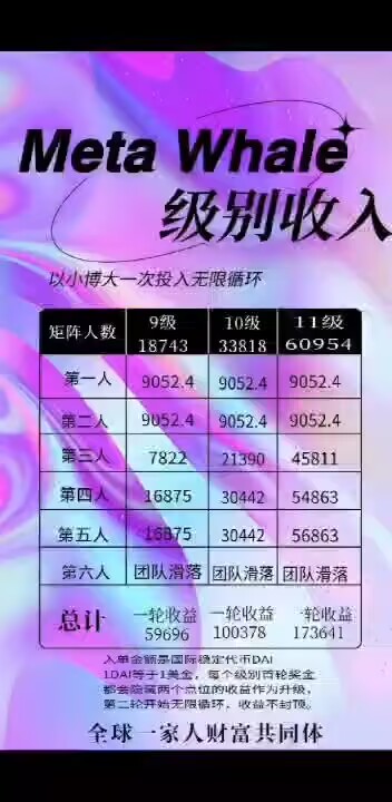 MetaWhale元鲸鱼注册TP钱包DAI质押全球一条线公排自动滑落矩阵收益(15)