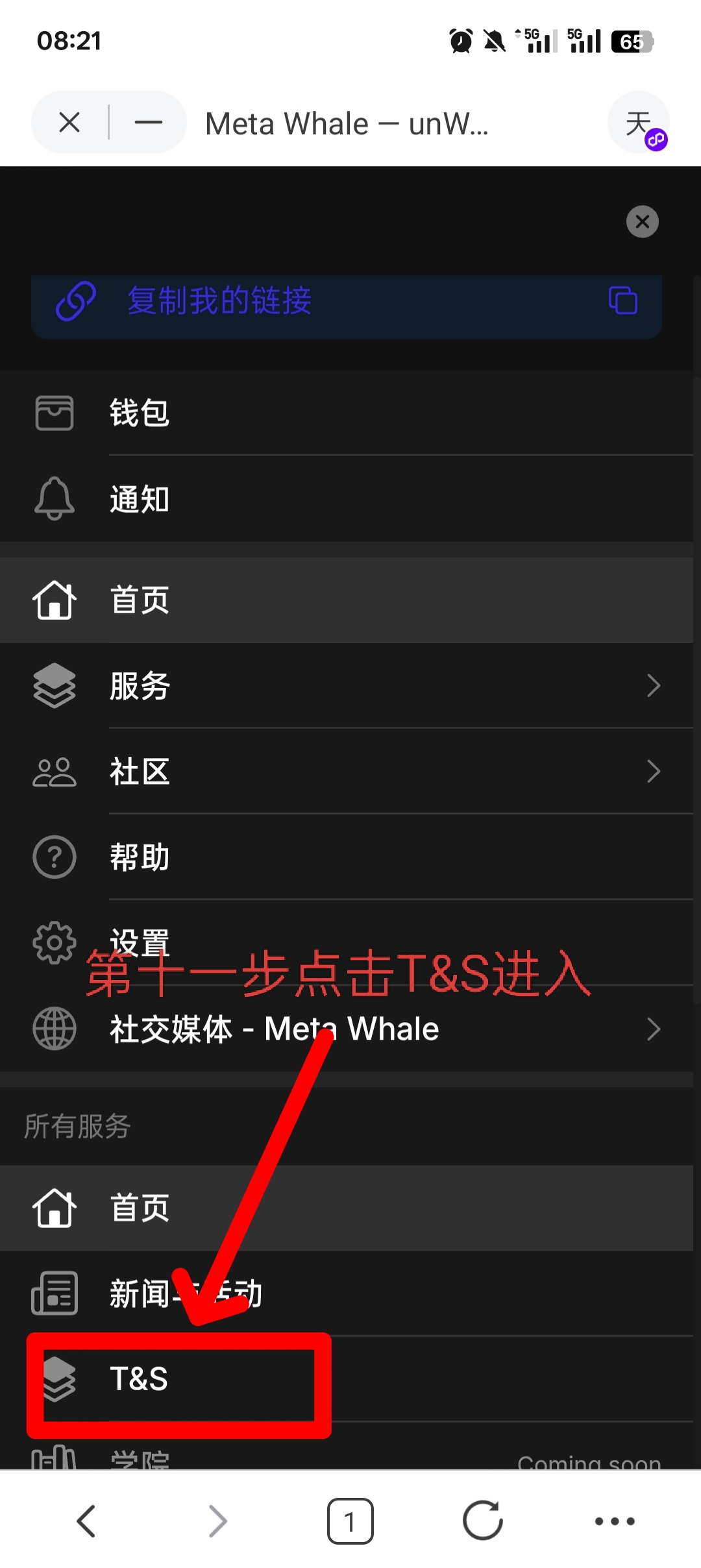MetaWhale元鲸鱼注册TP钱包DAI质押全球一条线公排自动滑落矩阵收益(11)