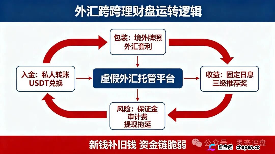 紧急预警！7月10个新开资金盘全曝光，千万别投！(2)